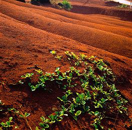 《胜利女神》联动《尼尔：机械纪元》再开 新女神参战